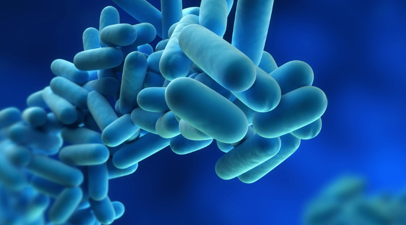 Legionella Awareness