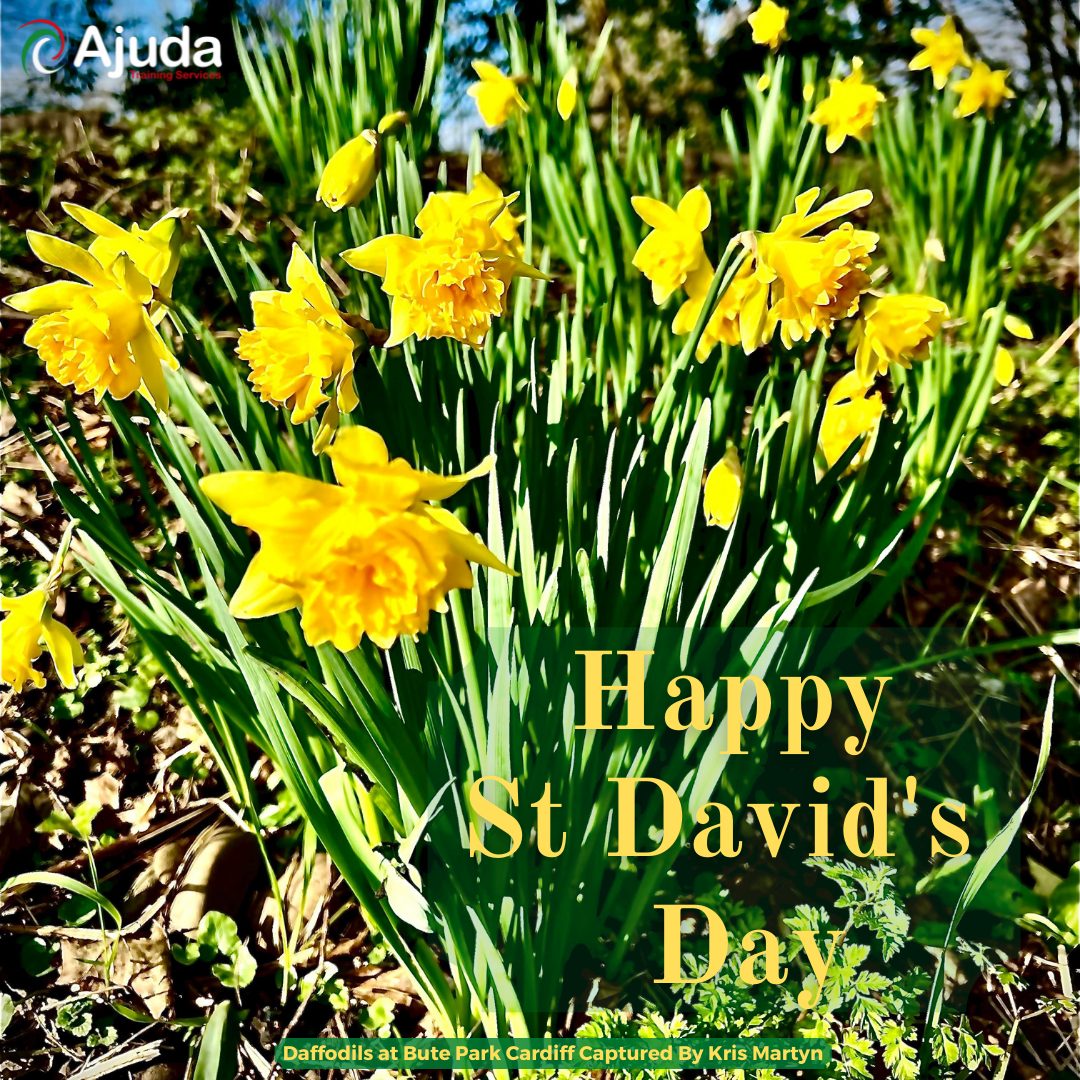 Happy St David’s Day / Dydd Gŵyl Dewi Hapus
