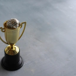 Mental Health Champion